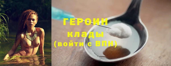 гидра Вяземский